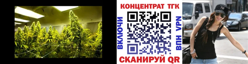 darknet состав  Сенгилей  Дистиллят ТГК Wax 