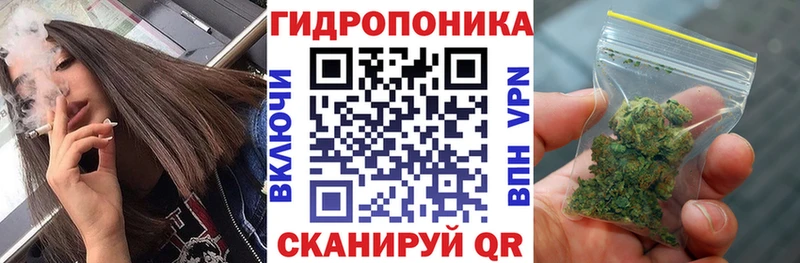 Конопля SATIVA & INDICA  OMG ссылки  Сенгилей 
